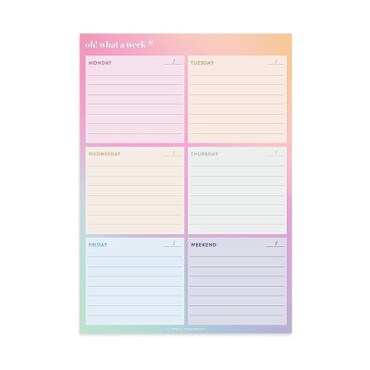 Erin Condren Oh! What a Week Notepad